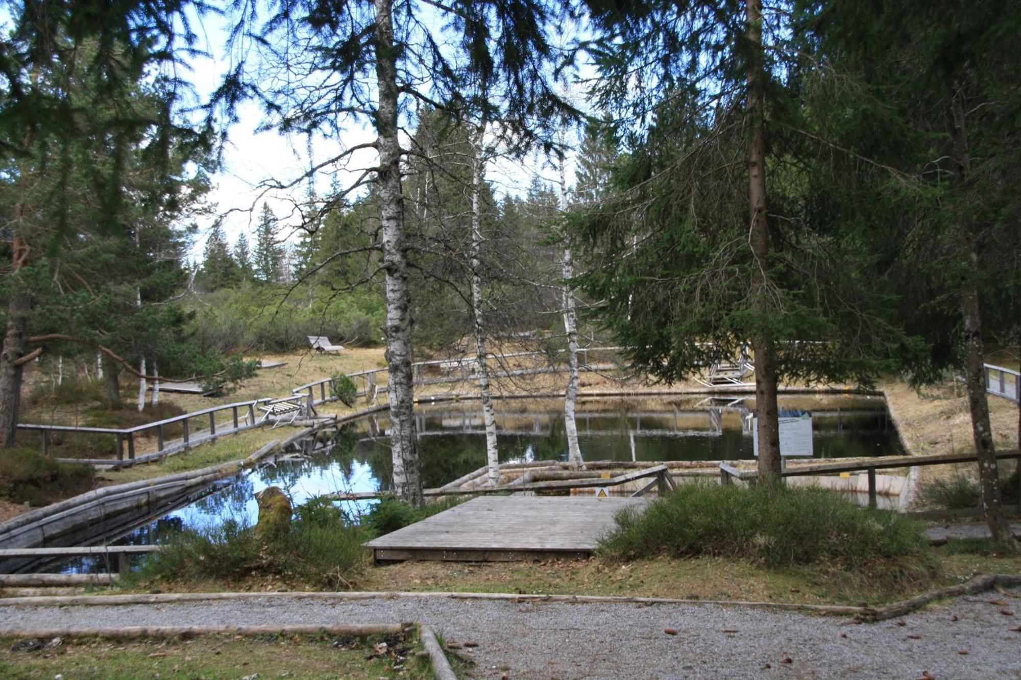 Ferienwohnung Bachmann Oberjoch Exterior foto